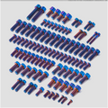 full Titanium kit for the yozma in 10 (PRE ORDER)